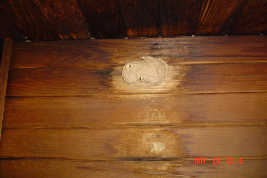 Amerec Sauna Heater Sensor Tampering