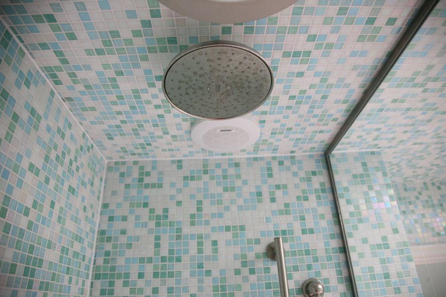 Bose Steam Shower Speakers