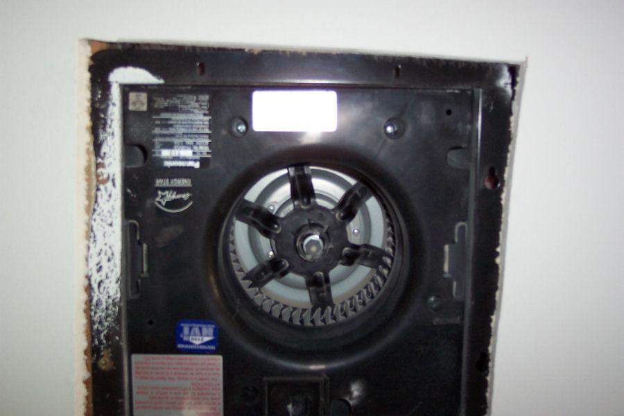 Fan Not Tested For Steam