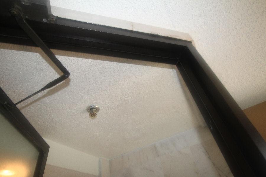 Fire Safety Sprinkler Head