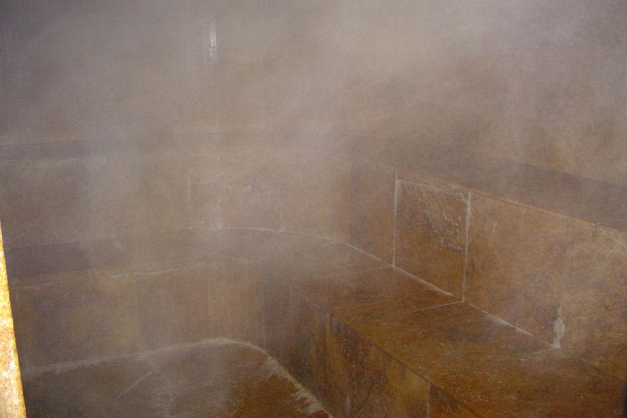 Steamist Day Spa Facility Steam Room 
