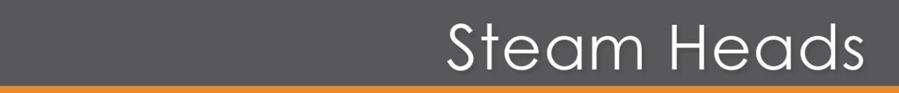 Home Steam Shower Heads