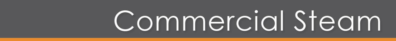 Commercial Steam Shower Products